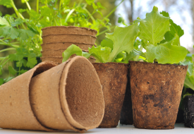 Biodegradable Greases